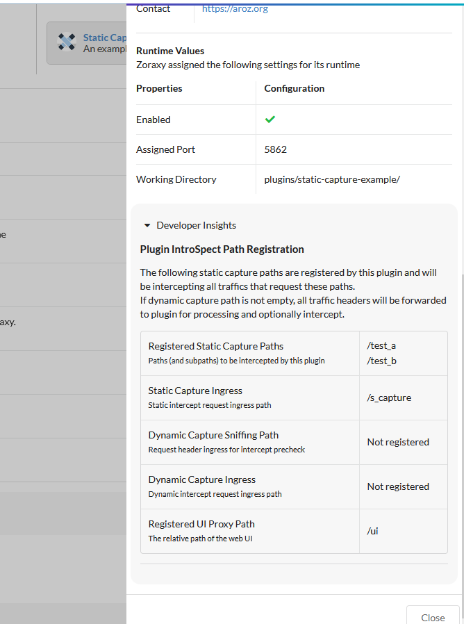 Viewing Plugin Info | Zoraxy Documentation